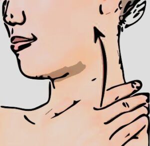 効果的な使用方１